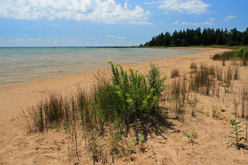 albany bay beach gerstacker nature preserve lake huron